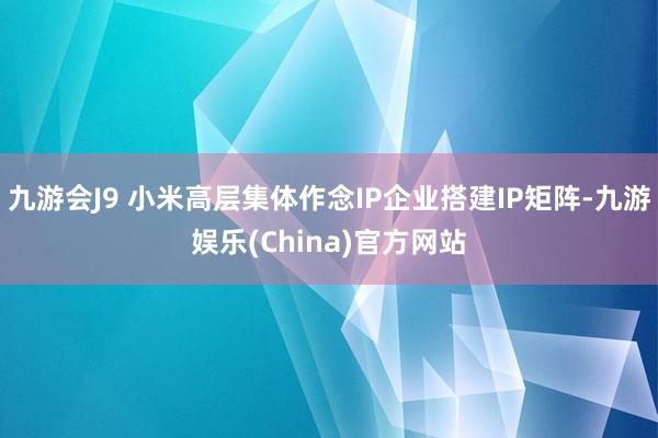 九游会J9 小米高层集体作念IP企业搭建IP矩阵-九游娱乐(China)官方网站