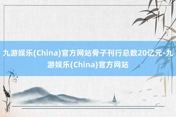 九游娱乐(China)官方网站骨子刊行总数20亿元-九游娱乐(China)官方网站