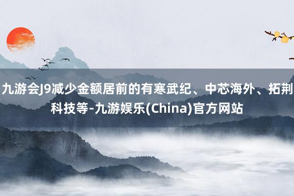 九游会J9减少金额居前的有寒武纪、中芯海外、拓荆科技等-九游娱乐(China)官方网站